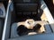 2026 RAM 3500 RAM 3500 BIG HORN CREW CAB 4X4 8' BOX