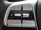 2024 Kia Telluride SX Prestige X-Pro